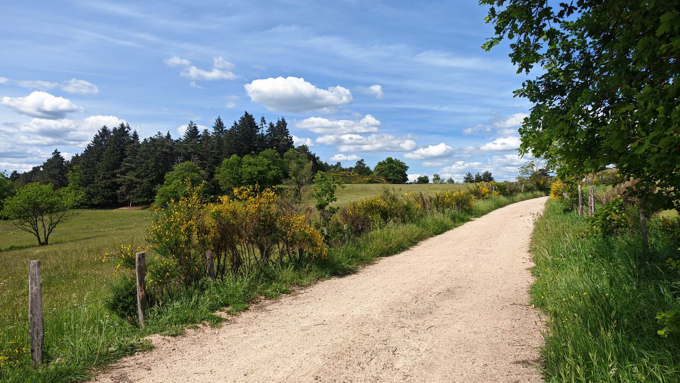 Entre bois et prairie