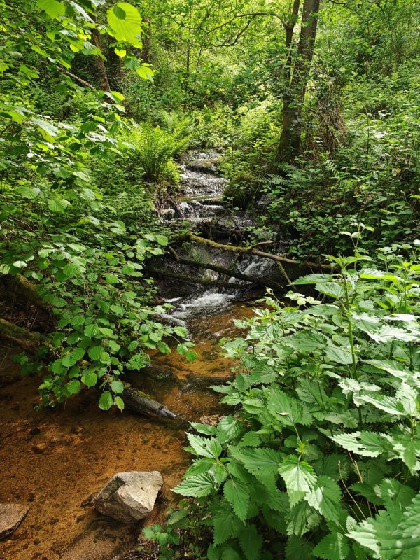 Le cours d'eau que j'entendais depuis quelques temps