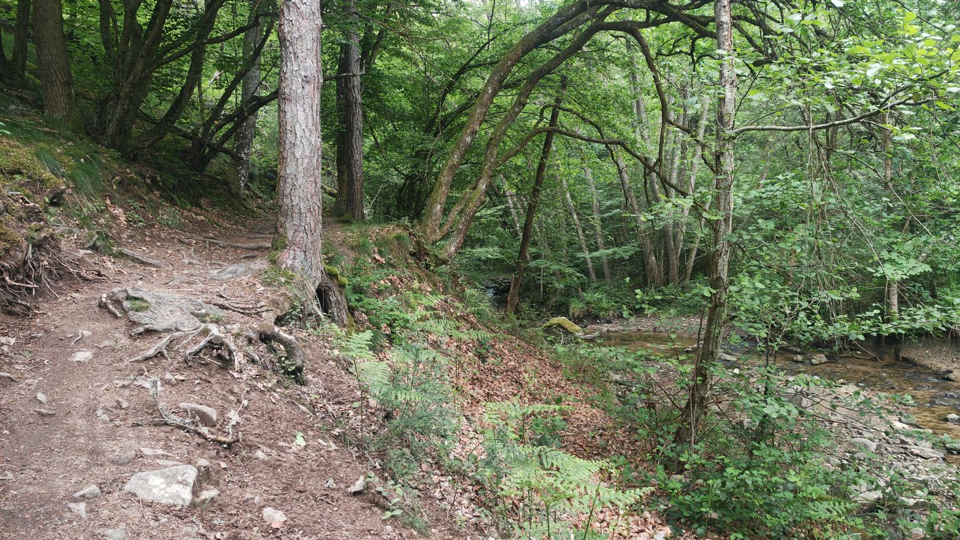 Je longe un ruisseau en cherchant un bivouac