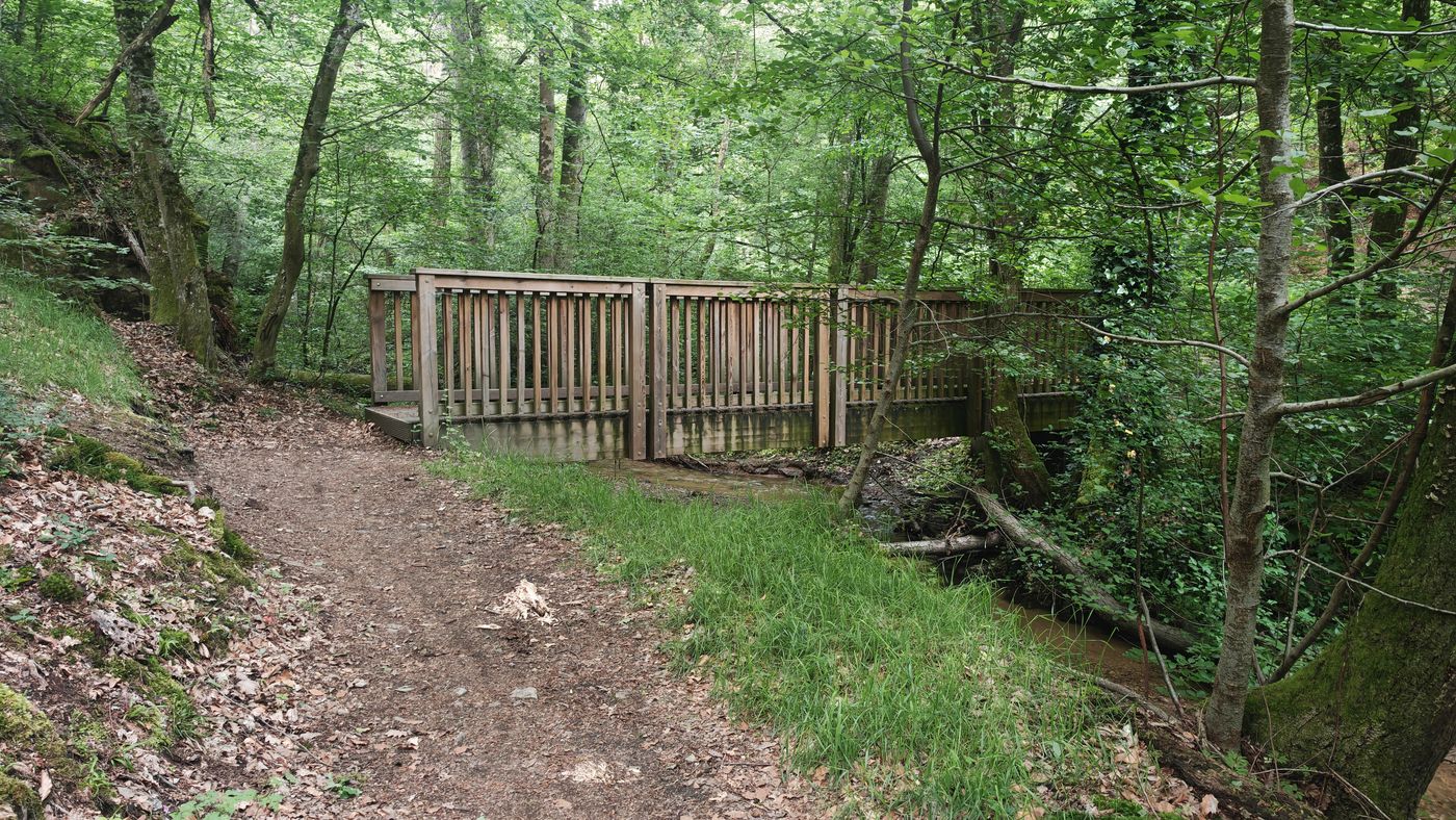 Passerelle du Grangent