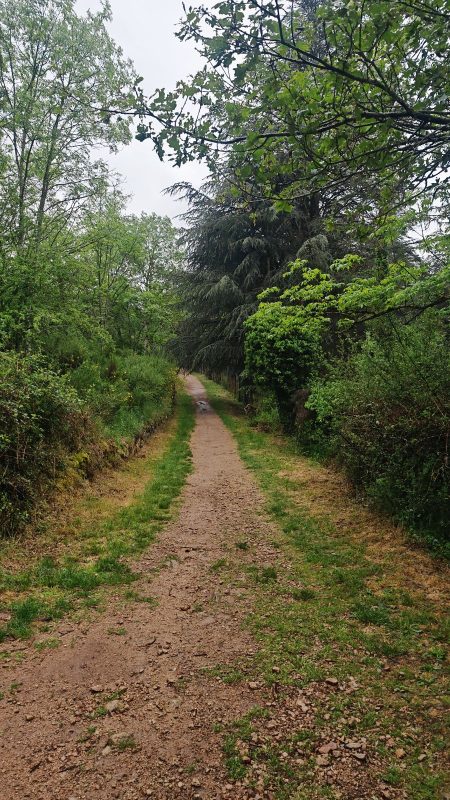 On approche de Condamine, route bien tracé