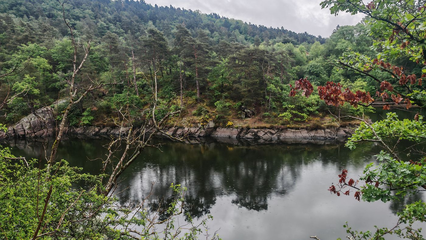 Le Lizeron bordé de forêt
