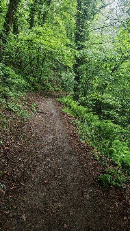 Descente humide vers la Loire