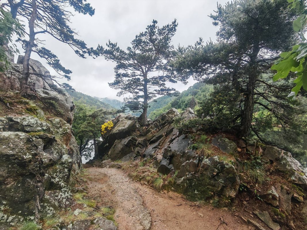 Passage rocheux (et tuyau caché par du béton au milieu)