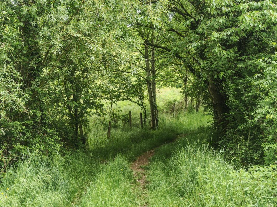 Sentier bucolique