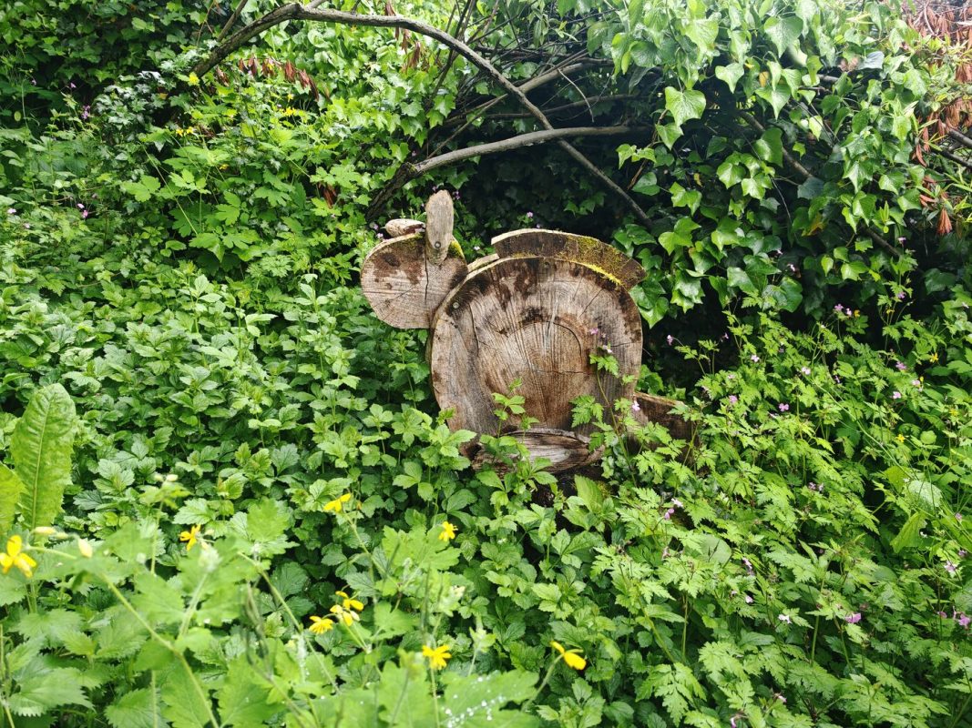 Lapin ou écureuil