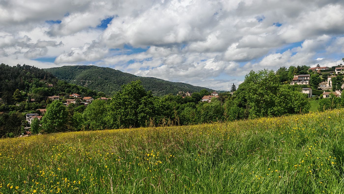 Après une zone pavillonnaire, le château au loin