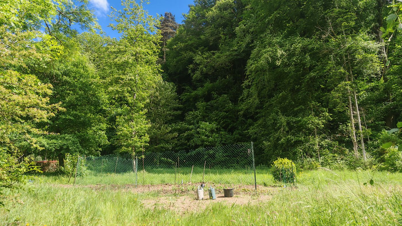Potager
