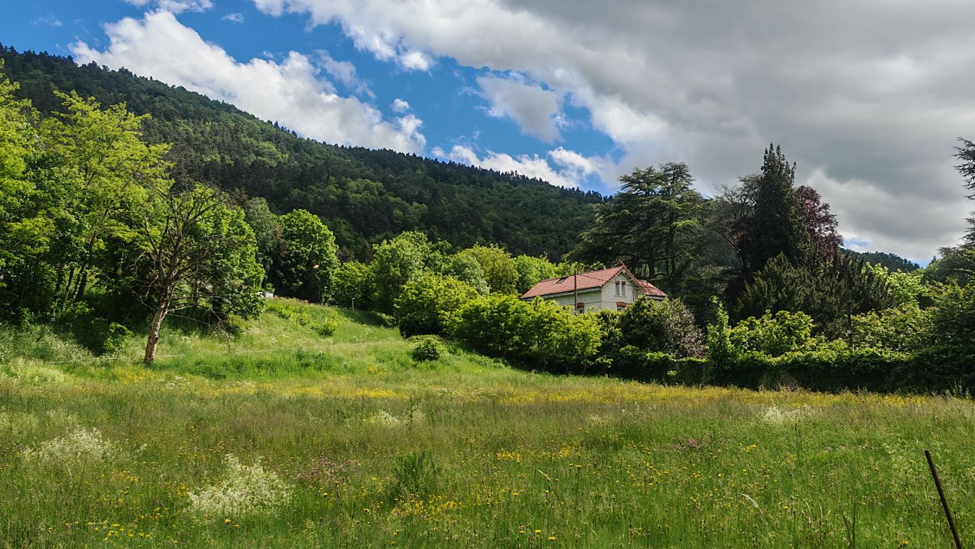 Toujours ces pente boisées avec la Loire en creux