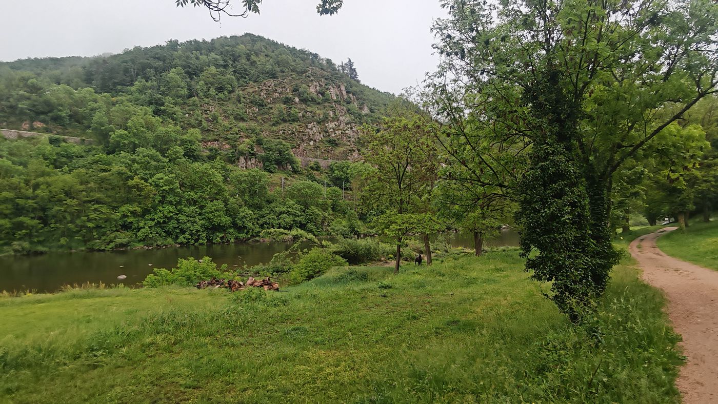 Cheval et route sur l'ancienne voie de chemin de fer