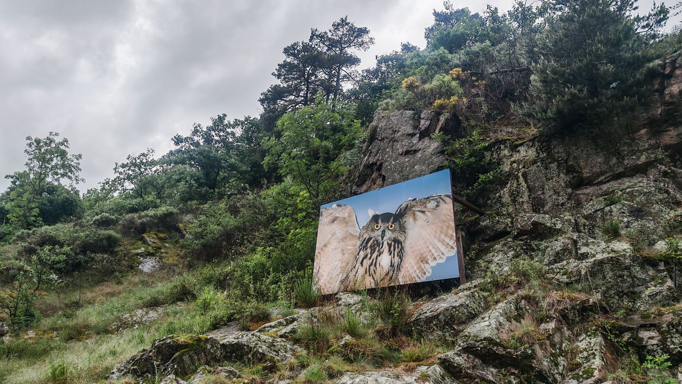 Le sentier est bordées de magnifiques photos en très grand format