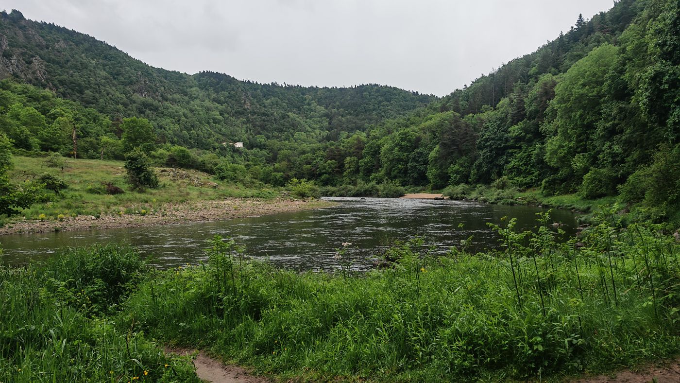 Au ras de l'eau