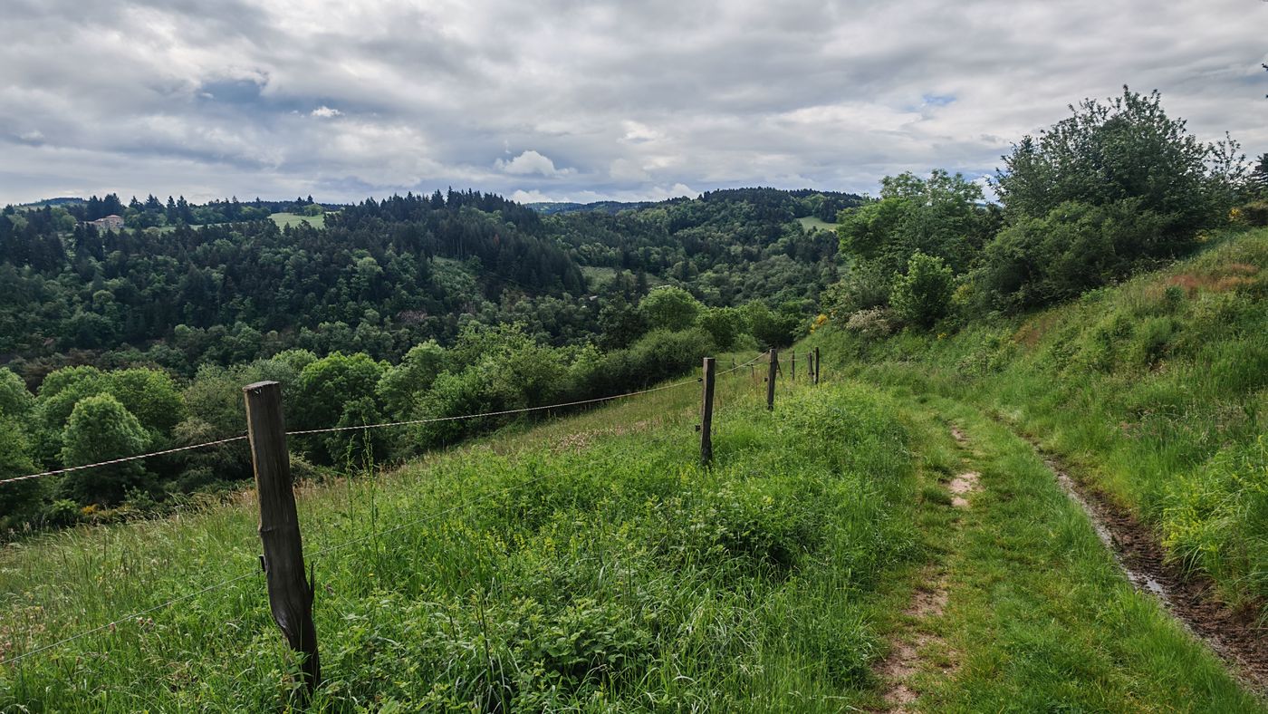 Chemin de campagne