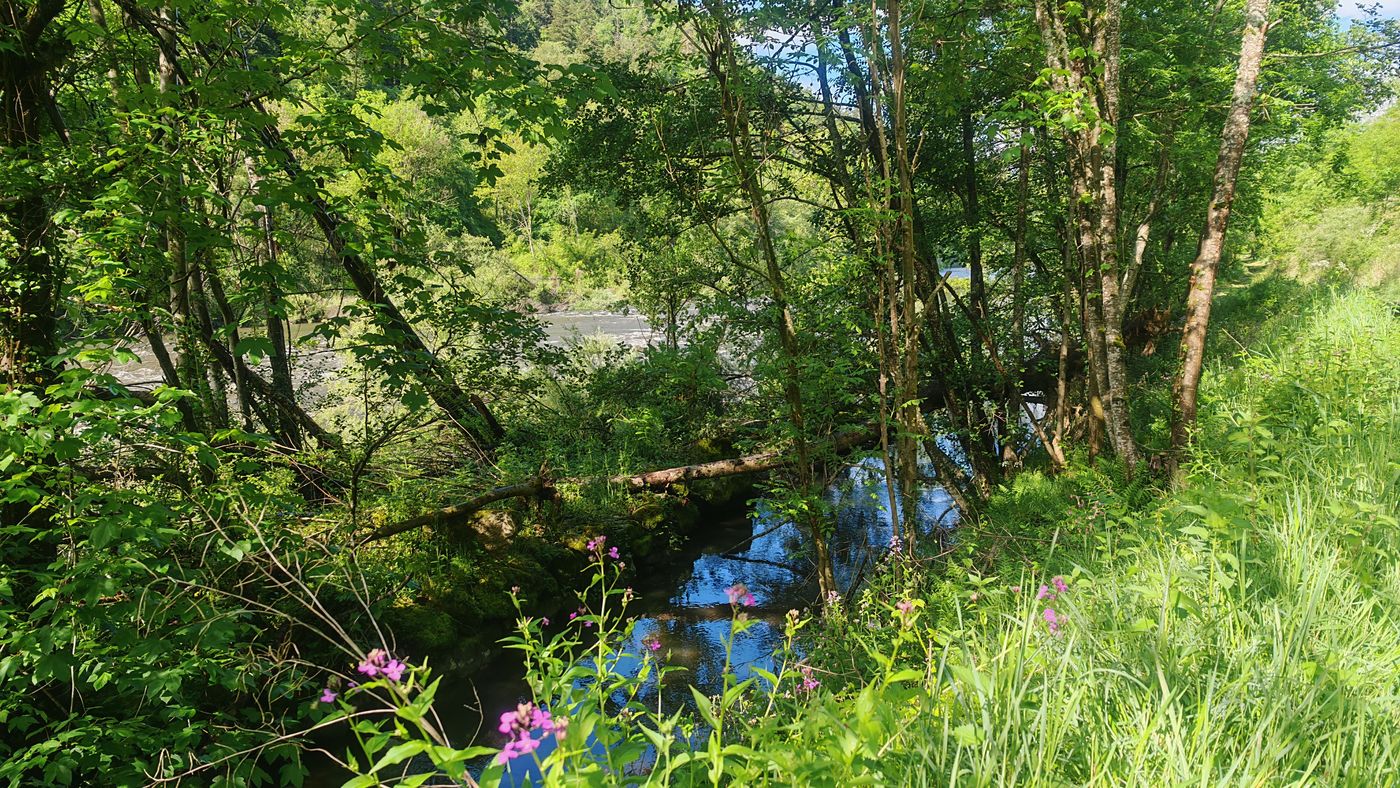 Le canal pour l'eau du moulin