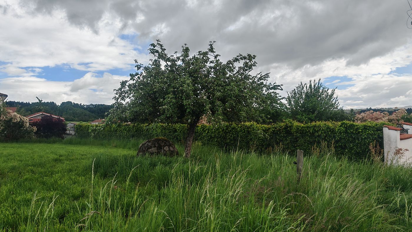 Puits sous un pommier