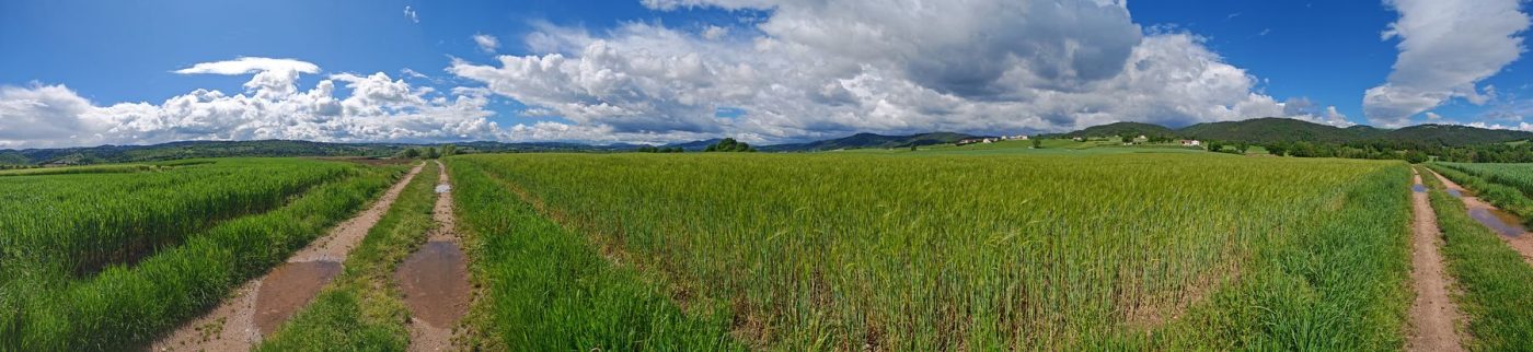 Campagne à perte de vu depuis 1h
