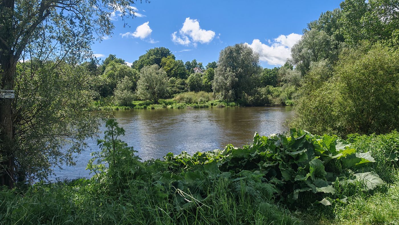 Etangs