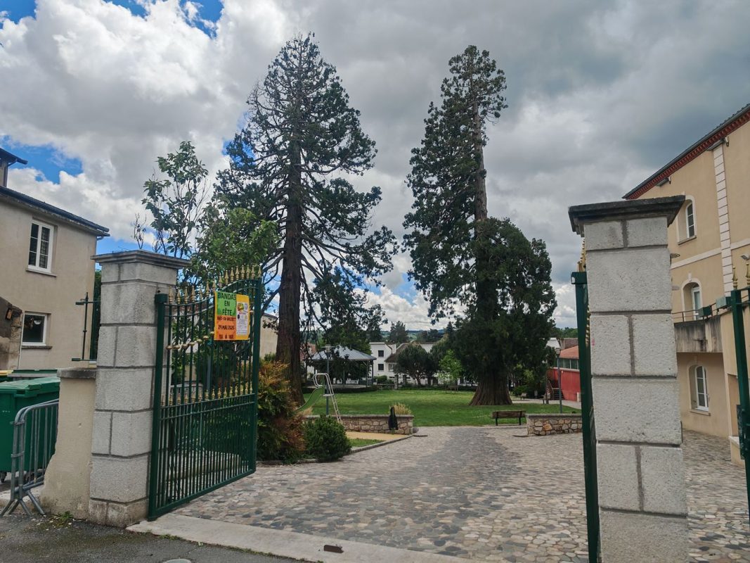 Un parc