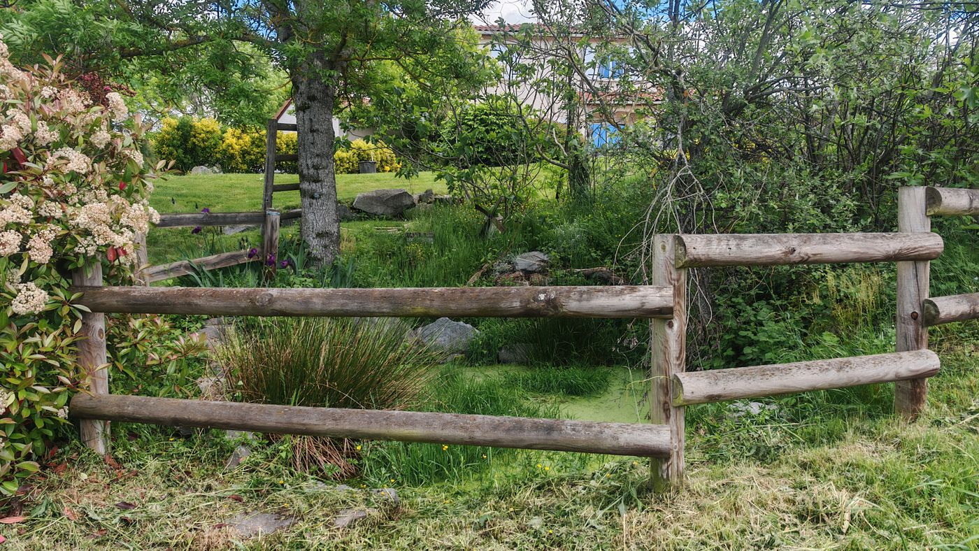 Jardin fleuris
