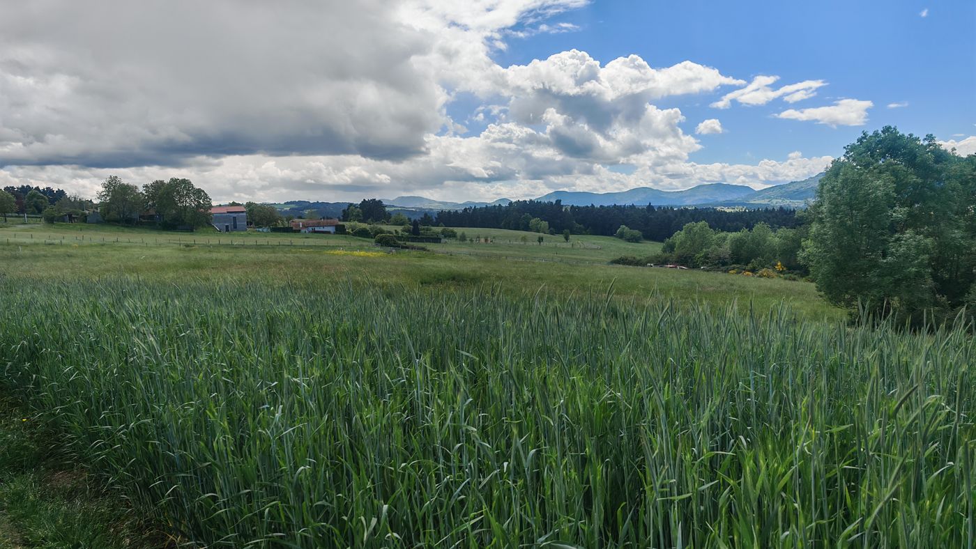 Enfin des champs et des collines au loin