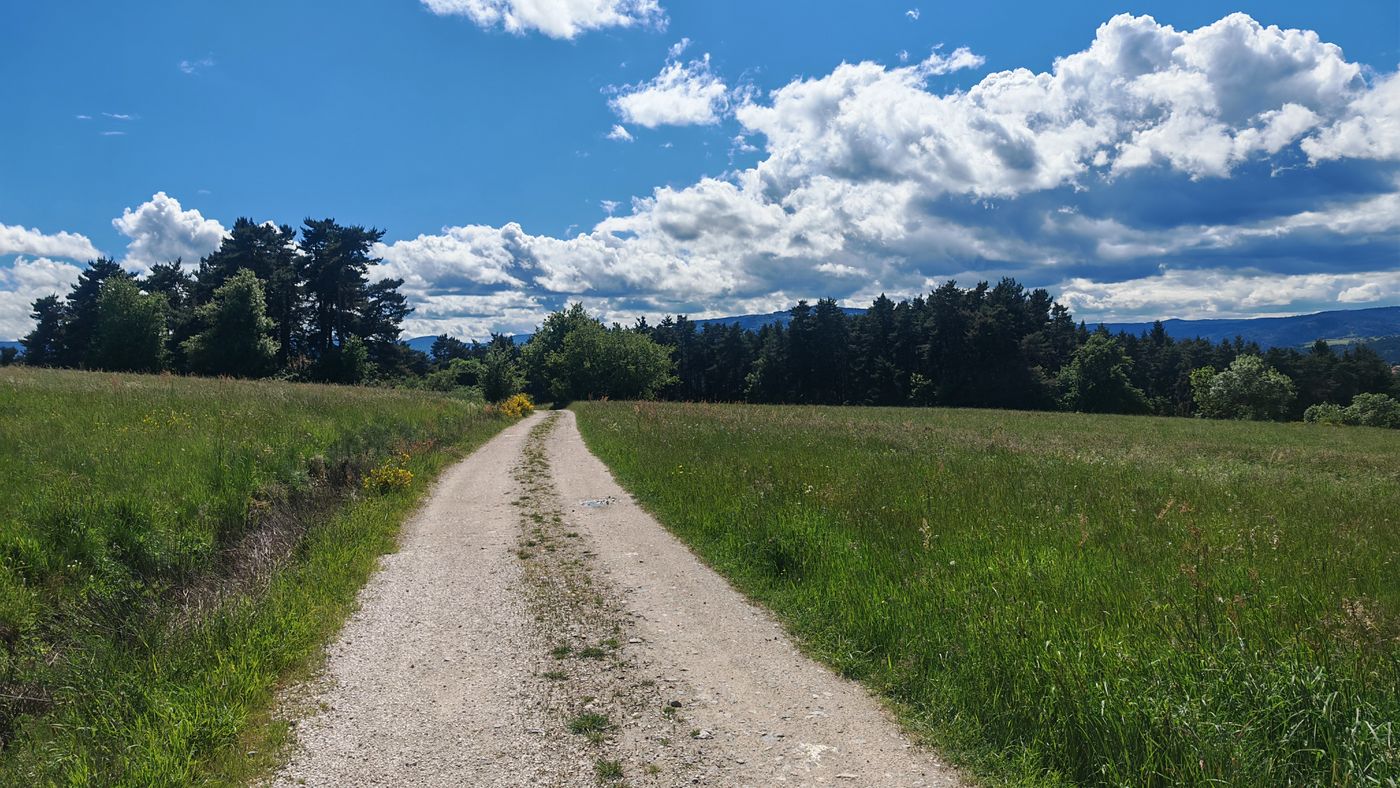 C'est mieux quand même la campagne