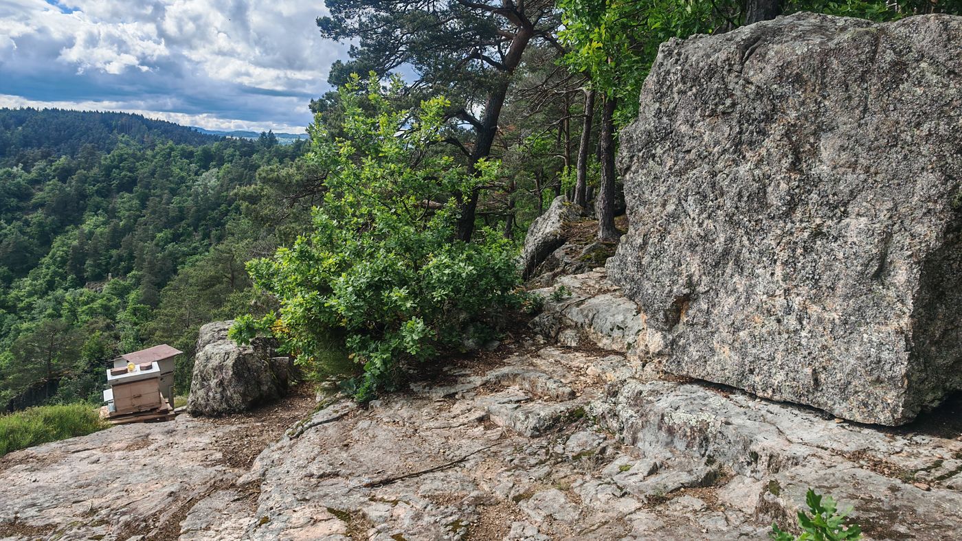 Grosse roche et ruches