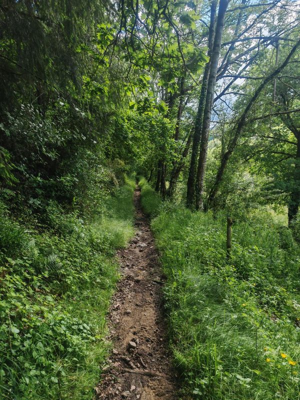 Charment petit sentier