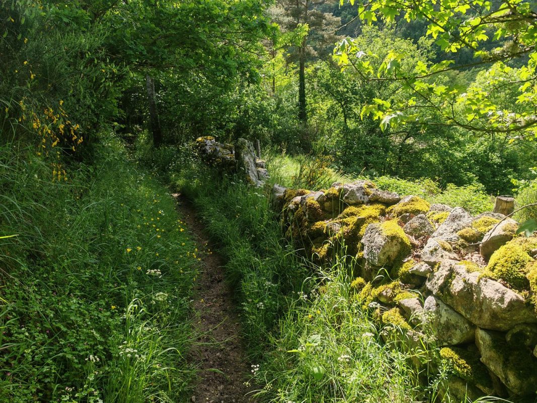 Charment petit sentier