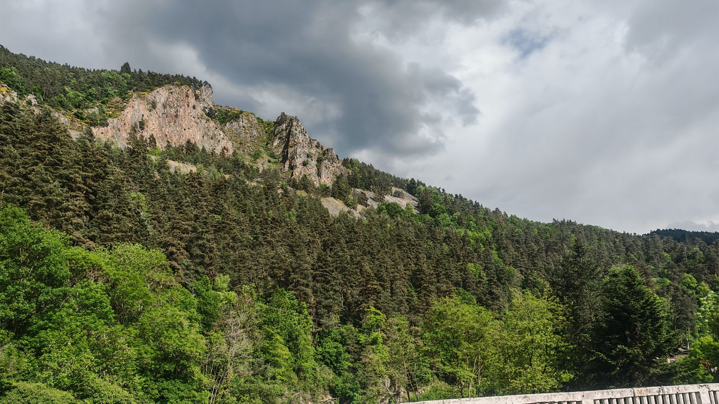 La forêt, la carrière (et le ciel gris)
