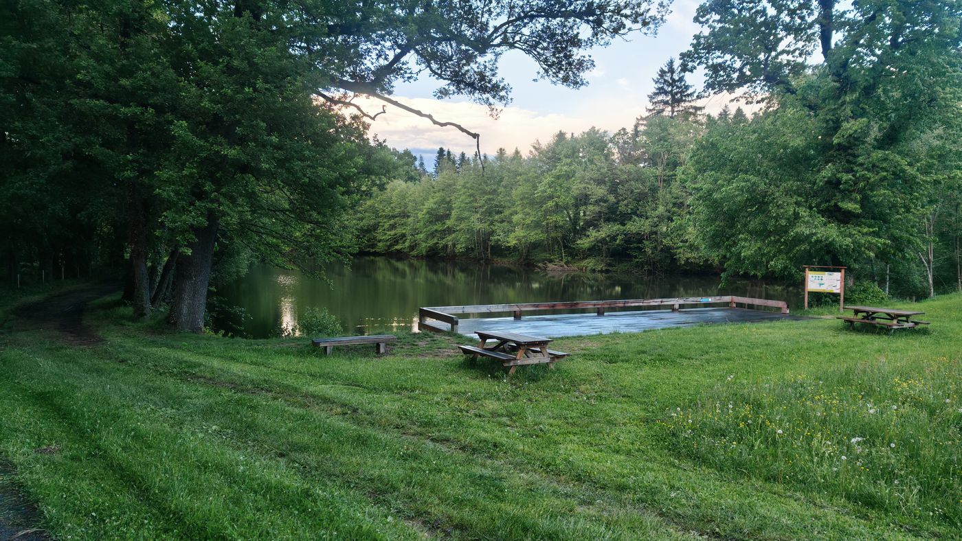 Etang du parc du Château de Maubourg