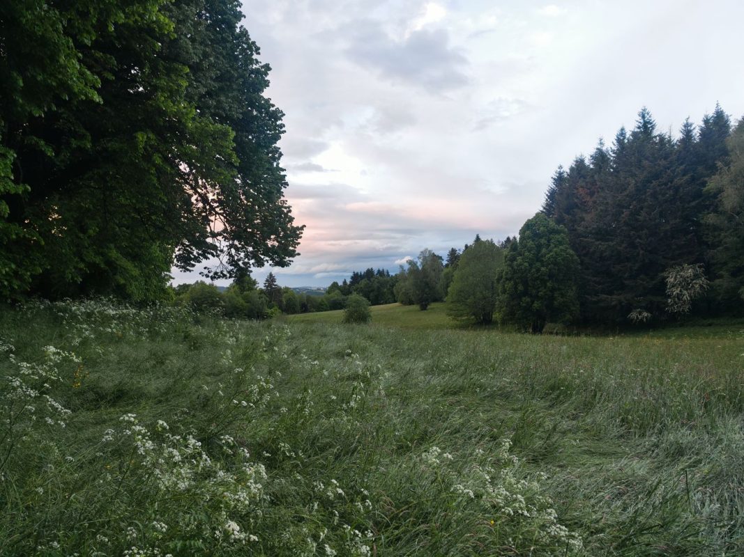 Ces grandes plaines serais bien pour un bivouac