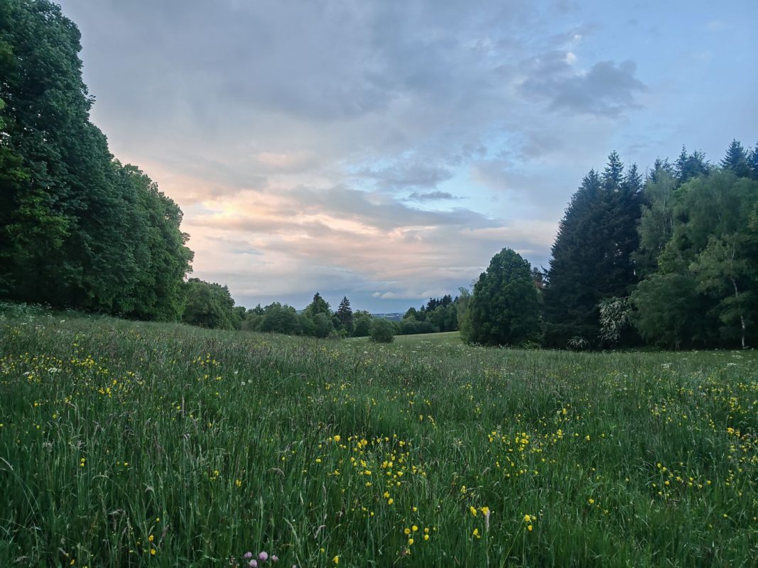 Sacrément grand ce parc