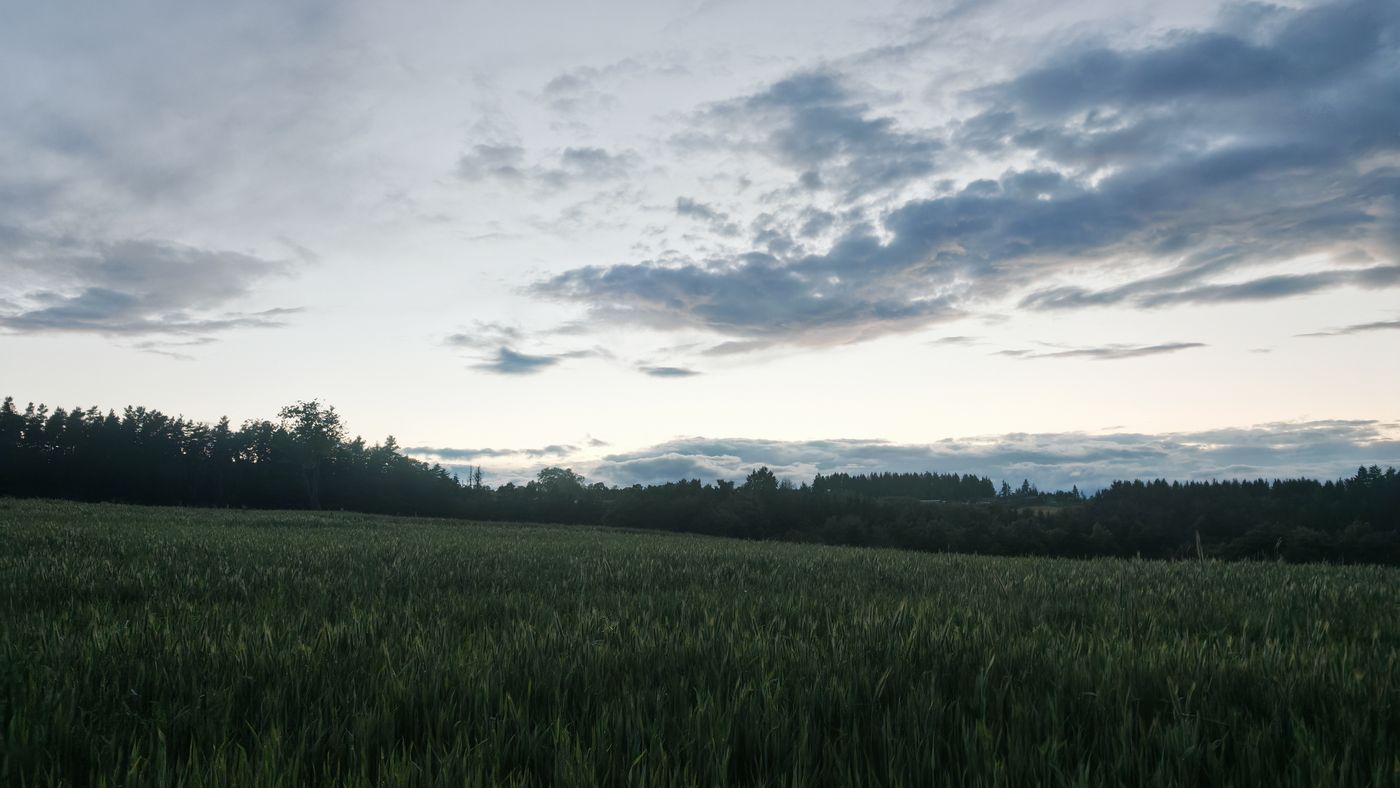 Quel ciel