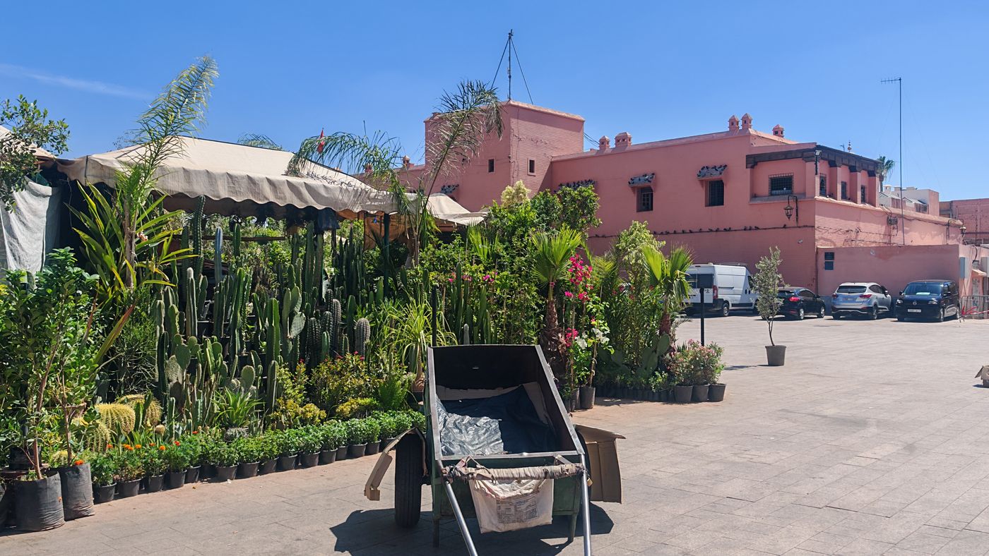 Marché aux plantes
