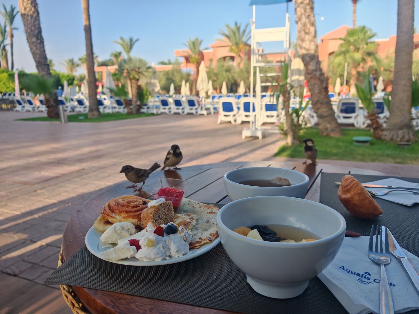 Petit déjeuné avec les oiseaux