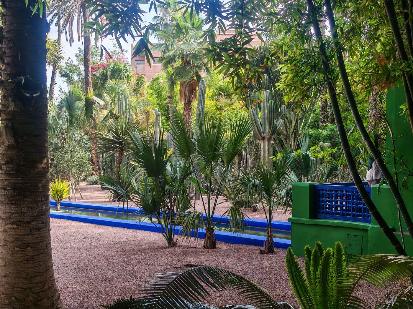 Déjà un peu de ce bleu !