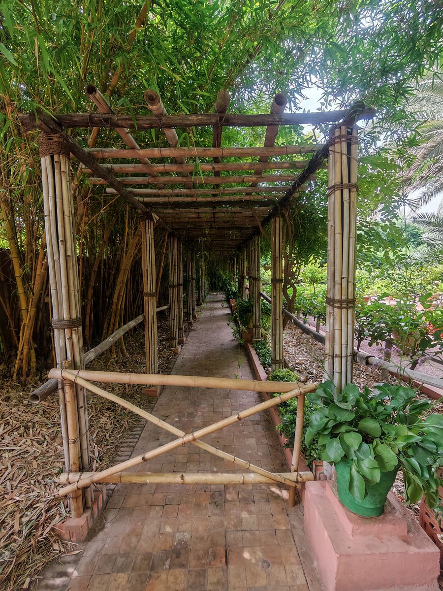 Structure en bambou