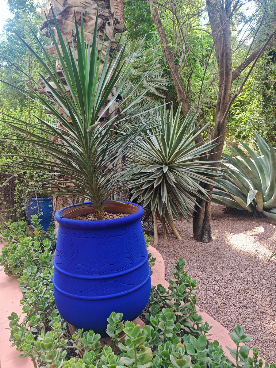 Pot gravé couleur Majorelle