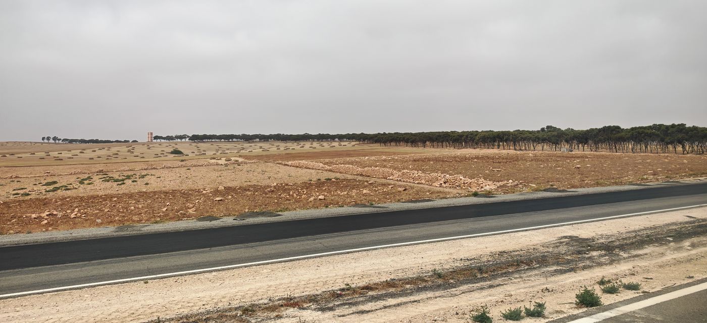 Arbres, et devant botte de foin faucher à la main