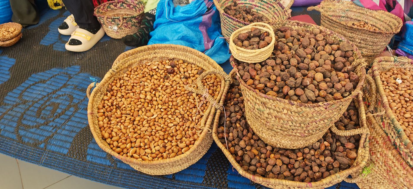 Les fruits, graines, amandes