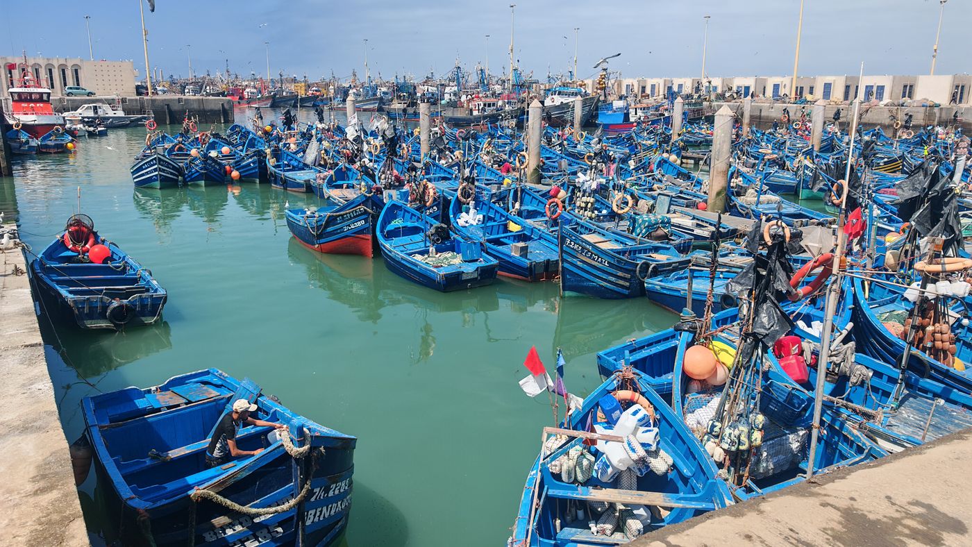 La flotte de ligneurs
