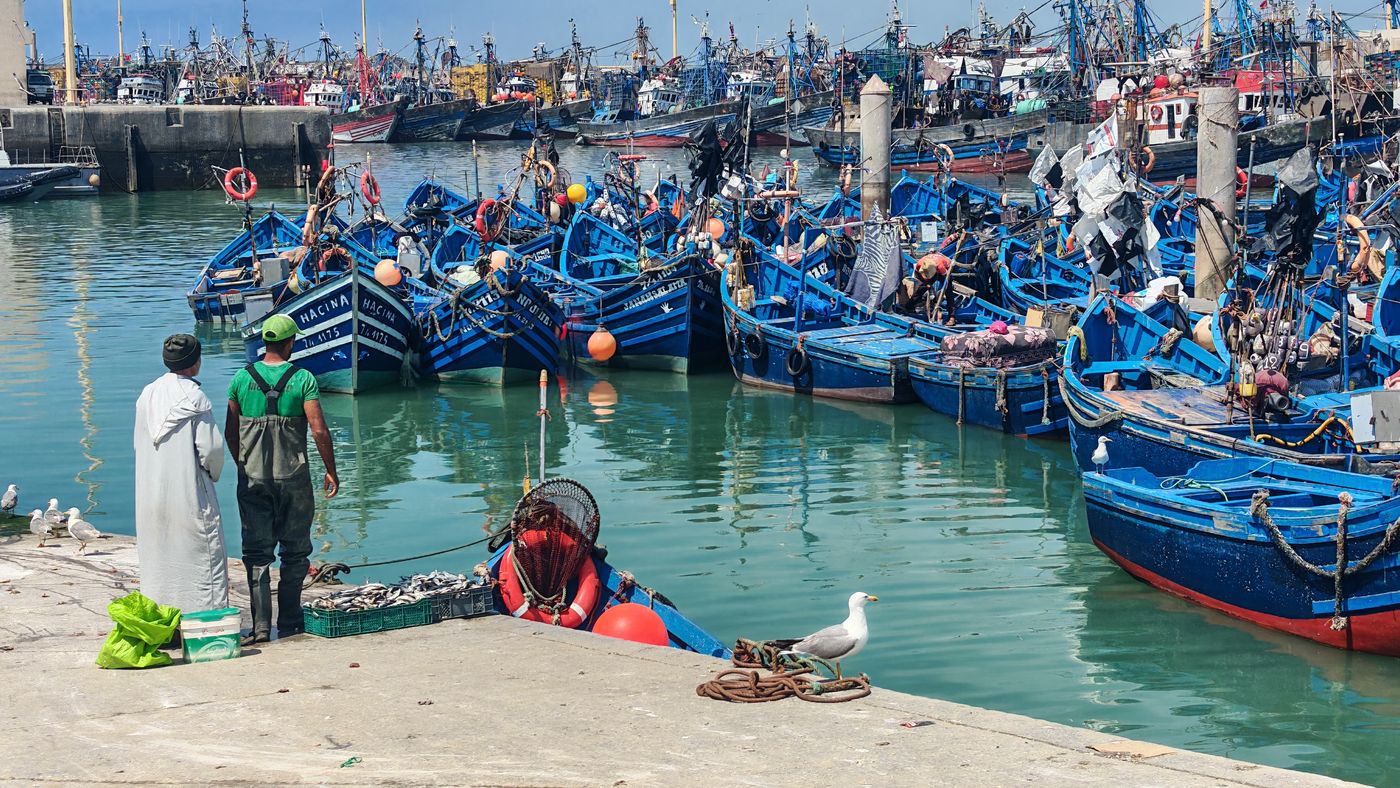 Débarquement du poisson