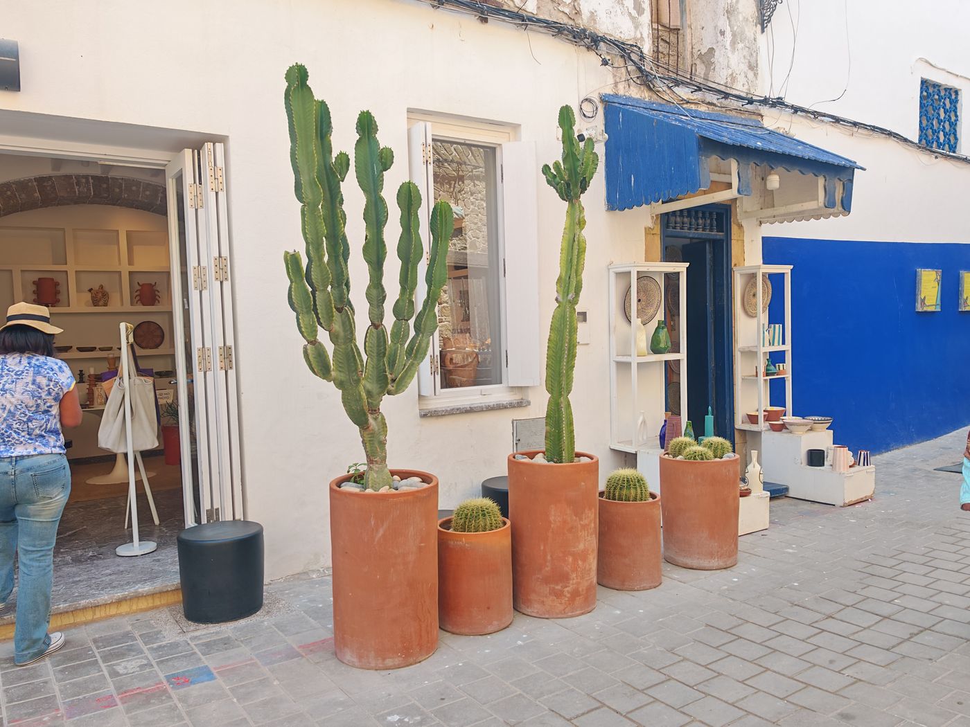 d'autres cactus