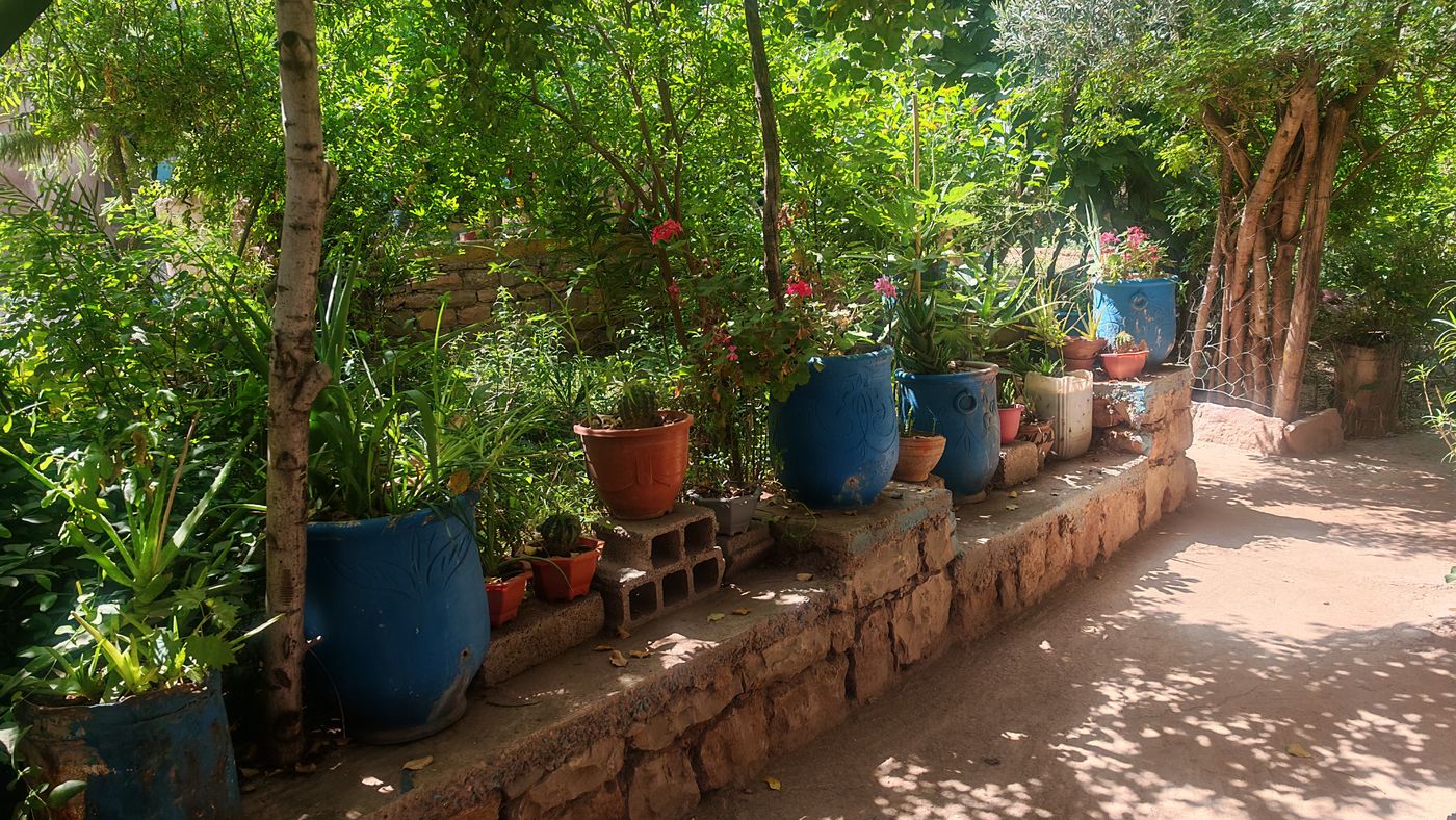 Jardin de la coopérative