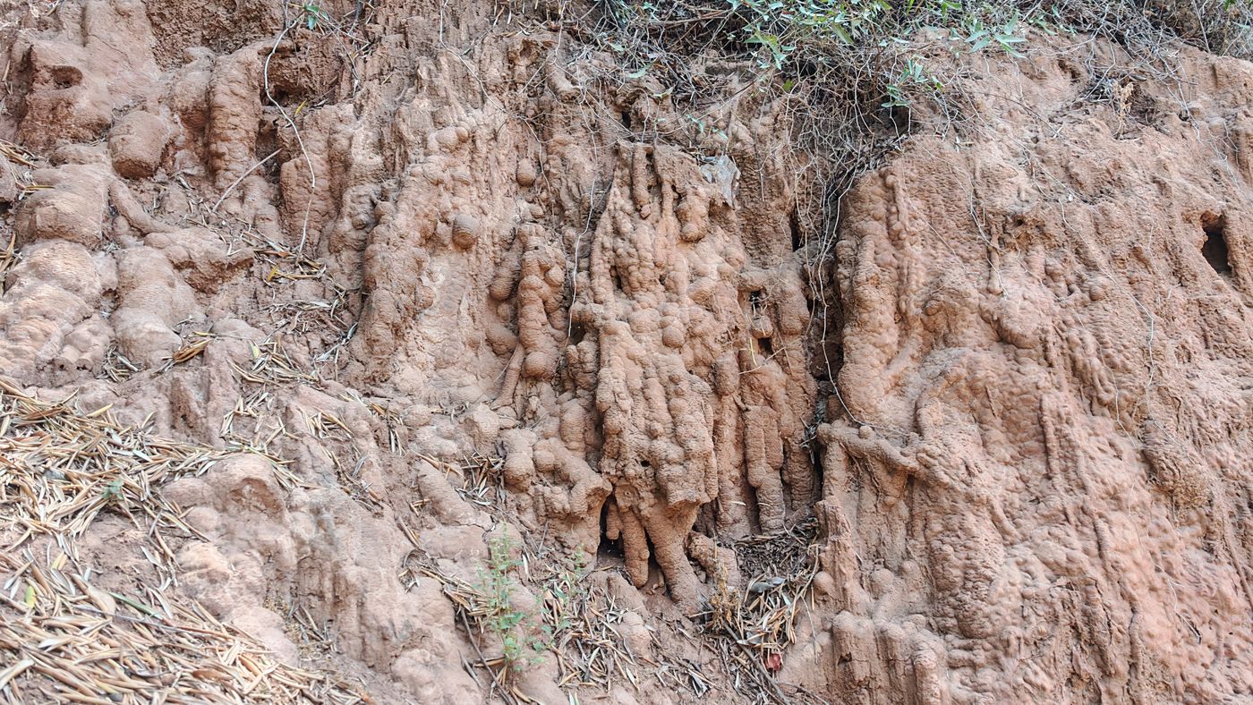 Les formes type stalactite/mite lié à l'écoulement d'eau chargé en sédiments