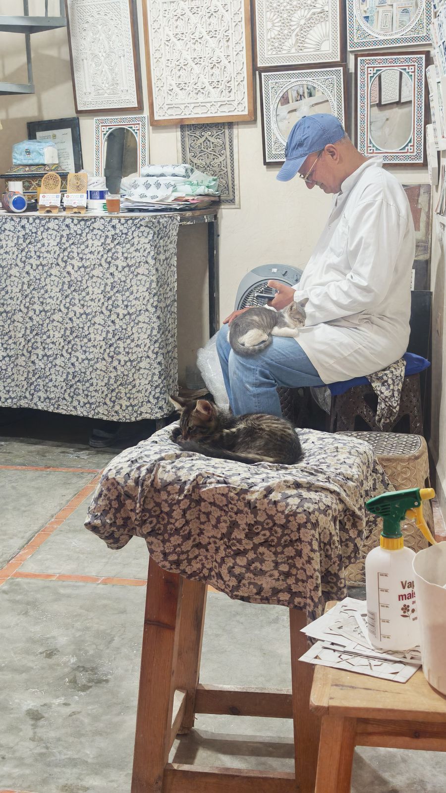 Un vendeur et ses chats