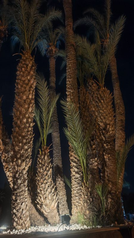 Ambiances nocturnes