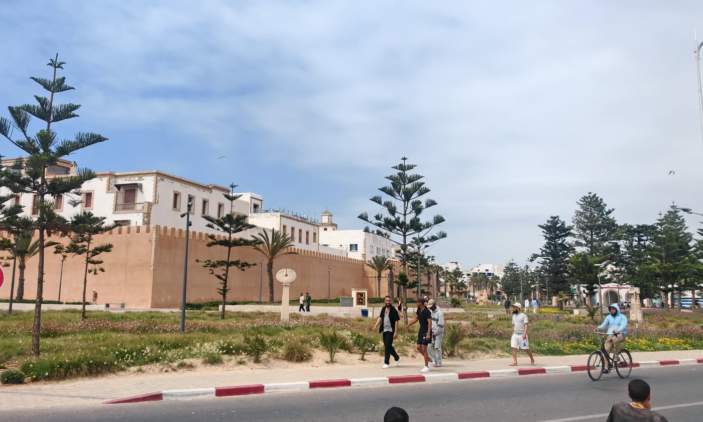 Remparts et Araucaria