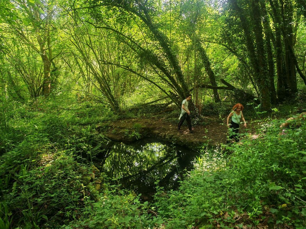 Randonnées au bord de l'eau