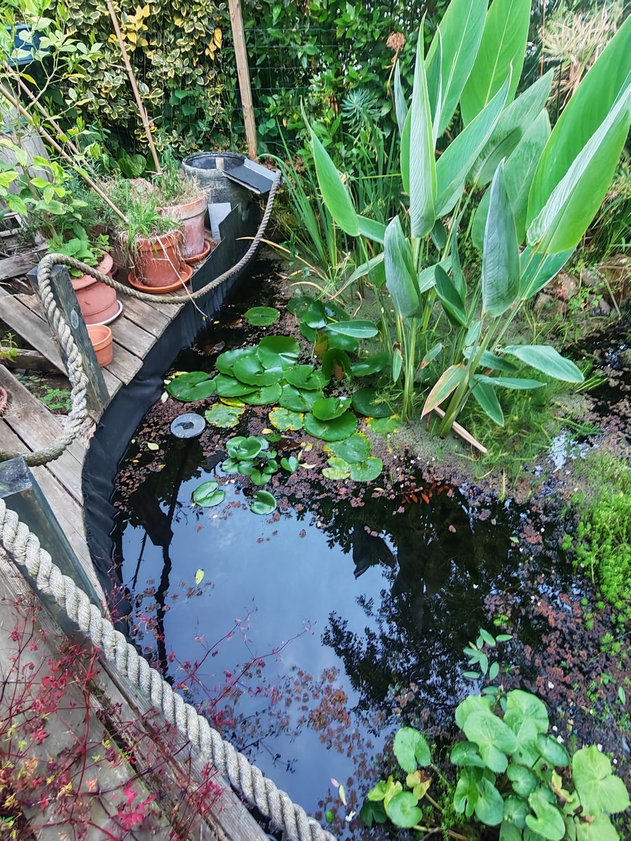Le niveaux d'eau bien bas